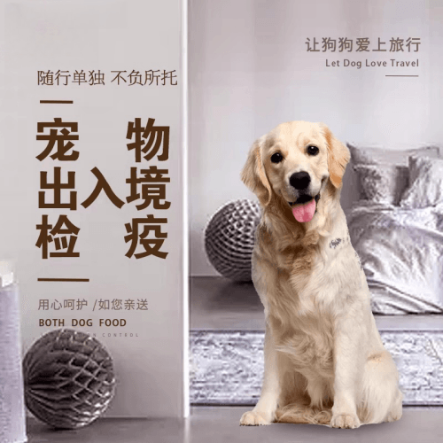 乐山市宠物托运到哥伦比亚猫狗宠物入境规定和