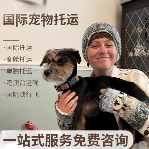 乐山市国际宠物托运到阿根廷宠物入境规定和要