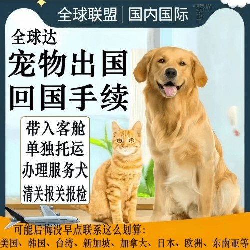 乐山市宠物托运到柬埔寨宠物入境规定和要求