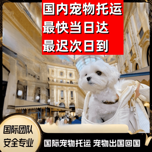 乐山市到澳大利亚（澳洲）宠物入境规定和要求
