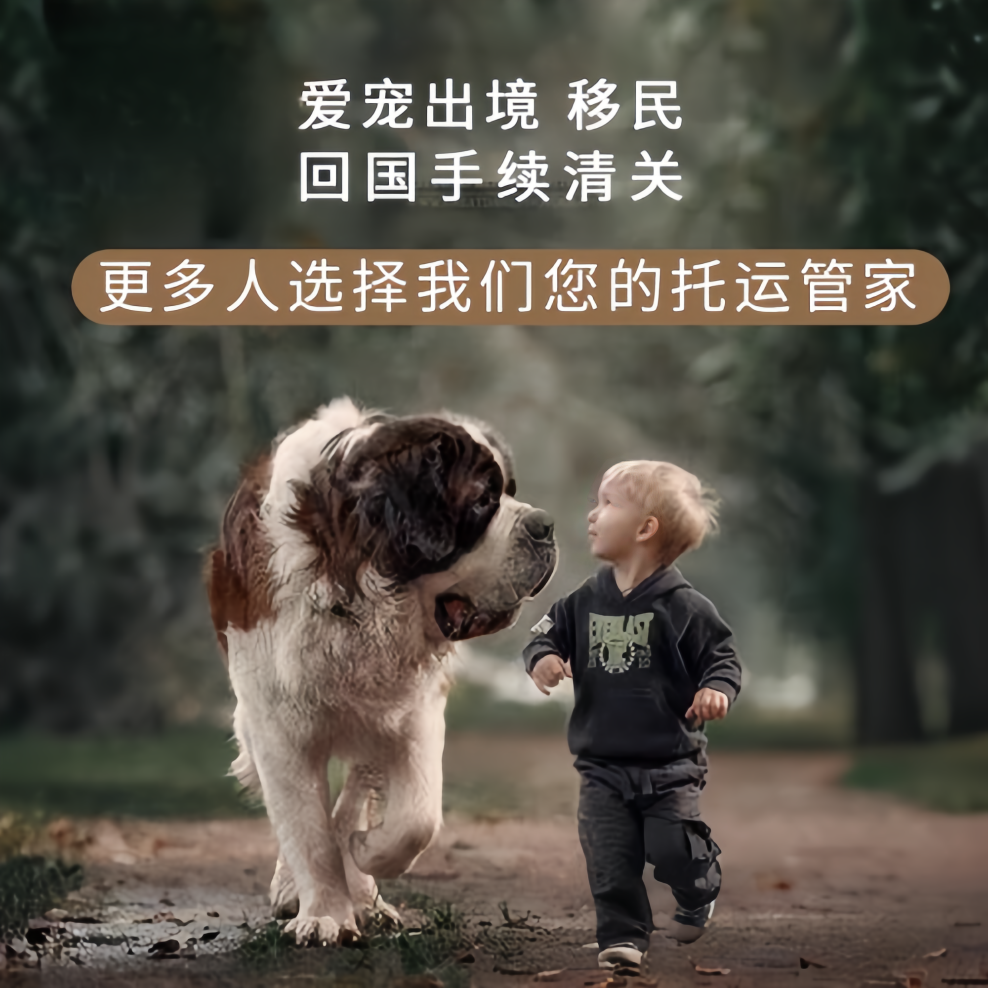 满财乐山市宠物全球达宠物托运在遵守入境目的地政策的条件