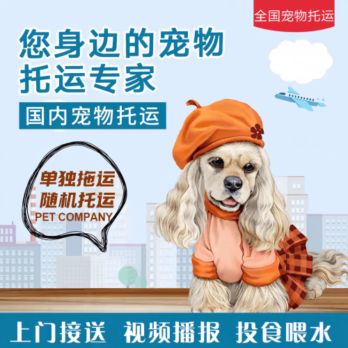 满财乐山市宠物全球达宠物托运作为专业的宠物运输代理机构